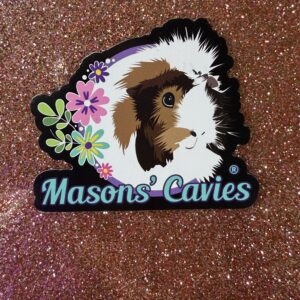 Fridge Magnet