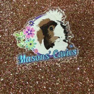 Acrylic Pin Badge